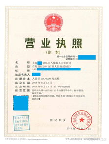 上海注冊非中介留學服務公司 類別、經營范圍與票務代理指南